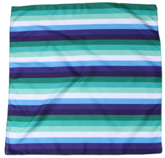 MLM Pride Flag Bandana.  Gay Pride Bandanas and Accessories.