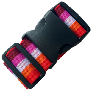 Lesbian Pride Luggage Strap.  Gay Pride Accessories.