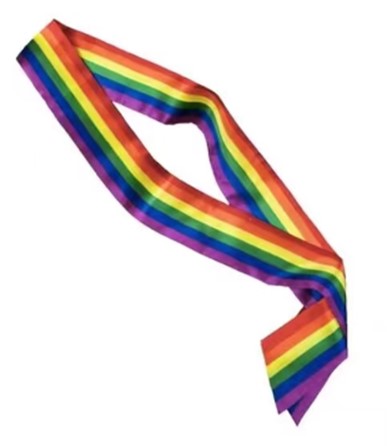 Gay Pride Sash Gay Pride Festival Rainbow Sash