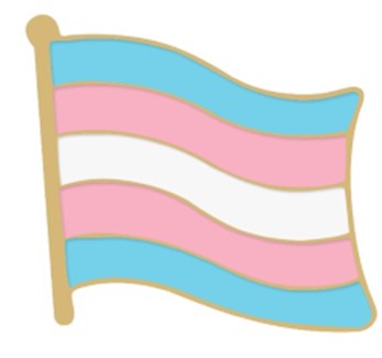 TransGender Flag Shaped Enamel Pin Badge, Gay Pride Badges and Accessories.