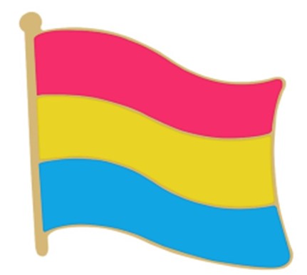 Pansexual Pride Flag Shaped Enamel Pin Badge.  GAy Pride BAdges and Accessories.