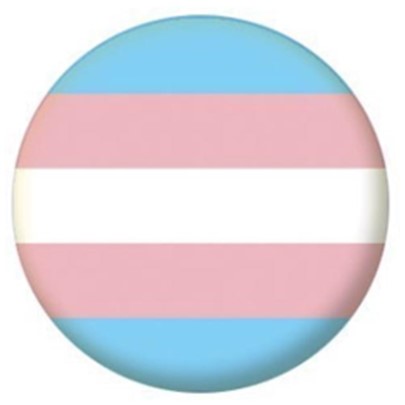 Transgender Pride Pin Badge 2.5cm Gay Pride LGBTQ+ Accessories.