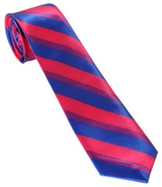 Bisexual Striped Neck Tie
